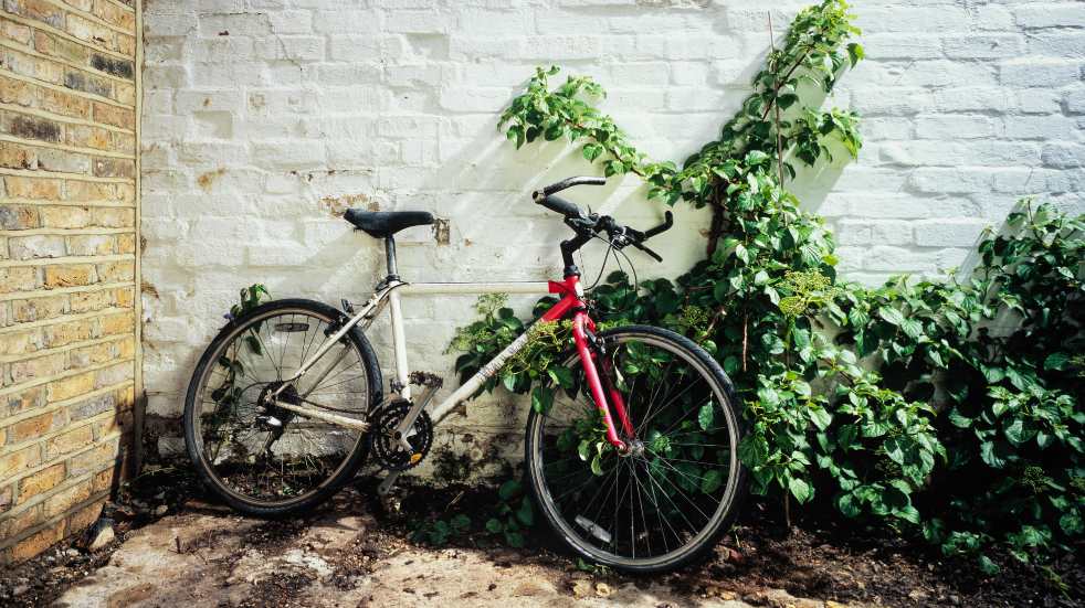 Bicycle leaning against wall